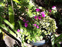 Courtyard Garden Makeover 1 Courtyard+and+Pond+Gardens+005 St. Francis Inn St. Augustine Bed and Breakfast