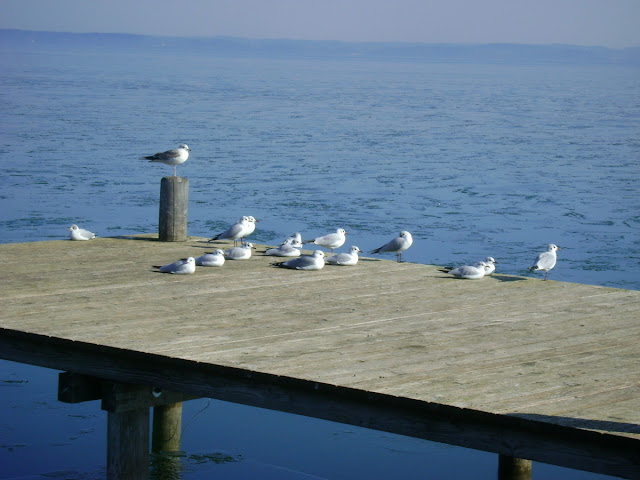 Isar Kurier Kw 44 2019 By Mark Ruof Issuu