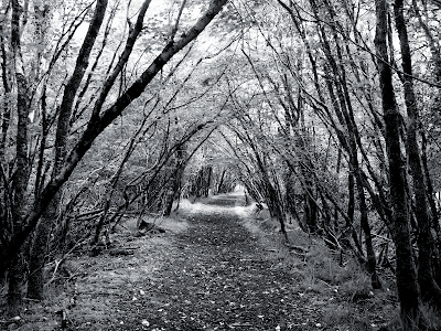 wallpaper black and white. wallpaper black and white. wallpaper black and white.