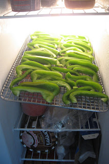 bell peppers on rack in freezer