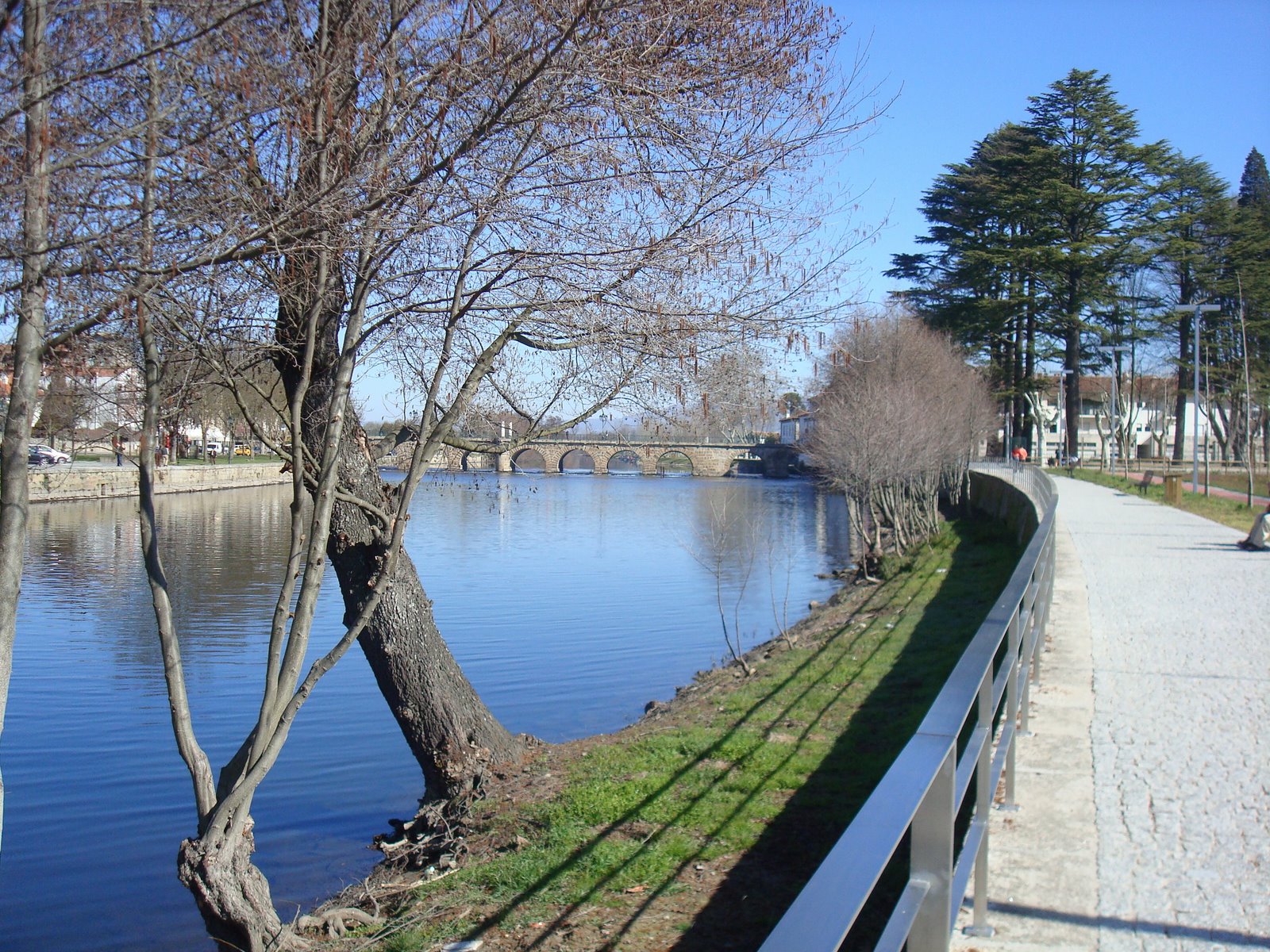 [DSC06633.JPG]