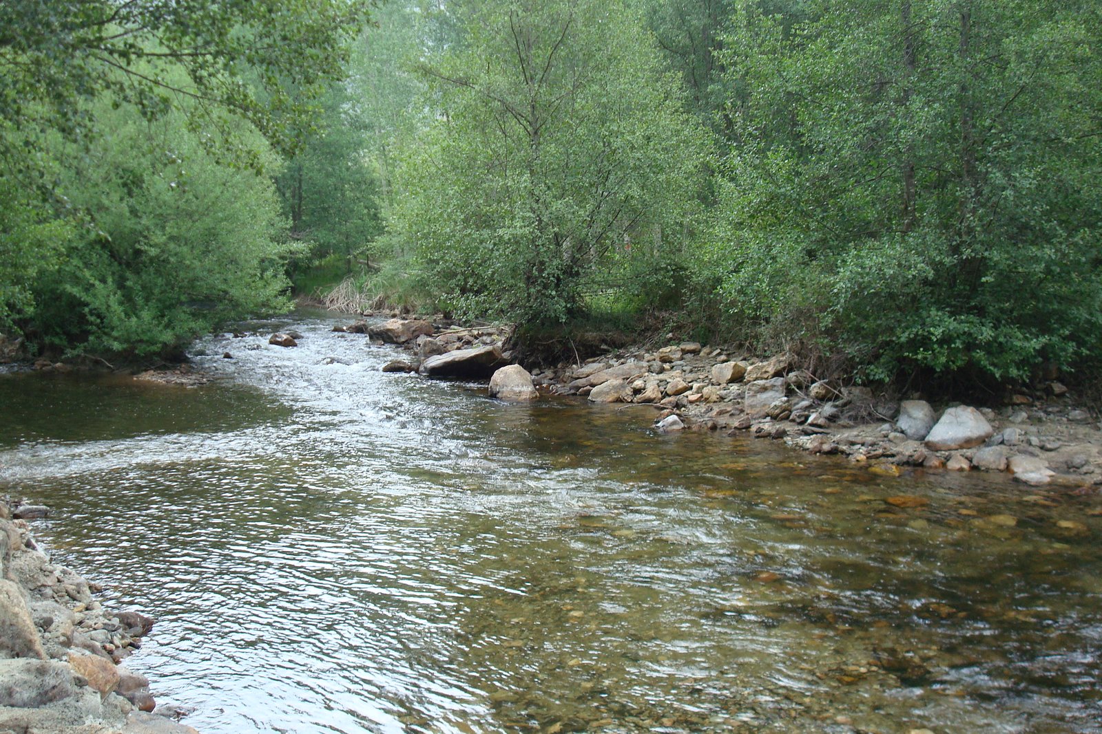 [DSC07918.JPG]