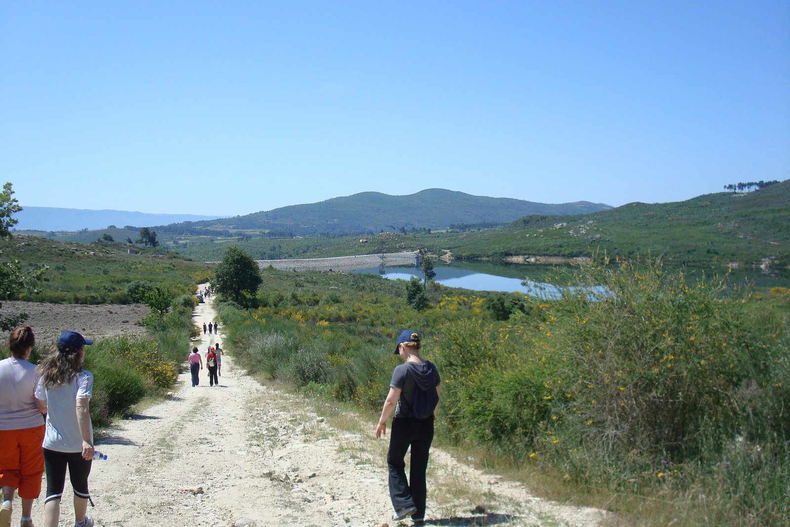 [DSC07973.JPG]
