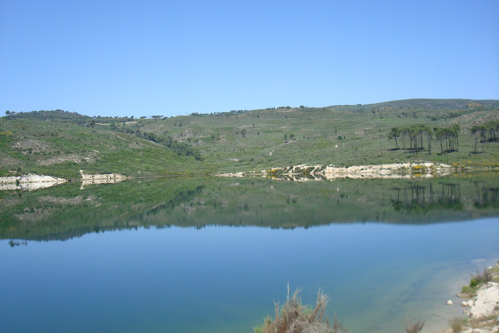 [DSC07974.JPG]