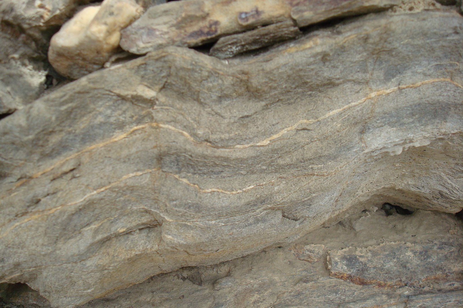 [DSC08465.JPG]