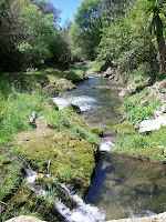Am rauschenden Bach