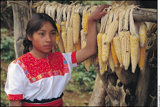 Vestimenta De Los Tzotziles En Chiapas