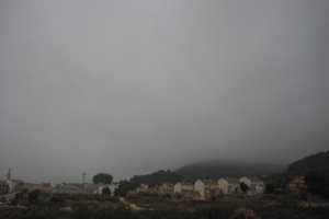 ENGUERA CON NIEBLA