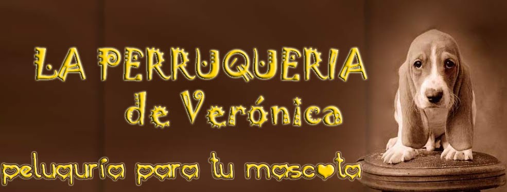 LA PERRUQUERIA DE VERONICA