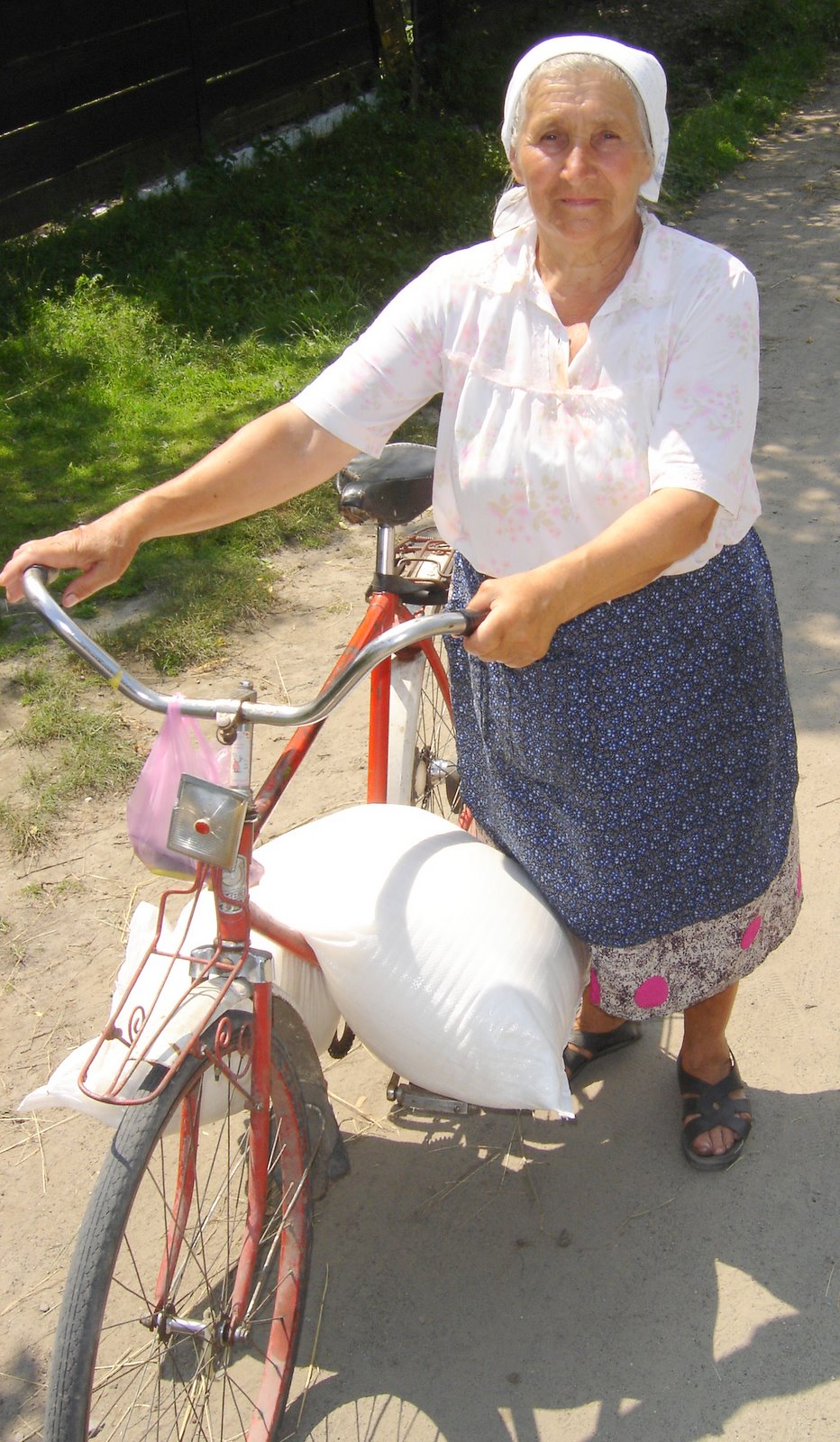 [DSC03342.JPG]
