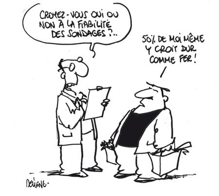 [sondages.jpg]