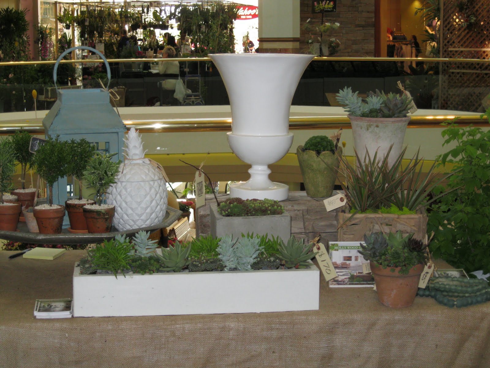 C.B.I.D. HOME DECOR and DESIGN: GARDENING: SPRING GARDEN TOUR - Just