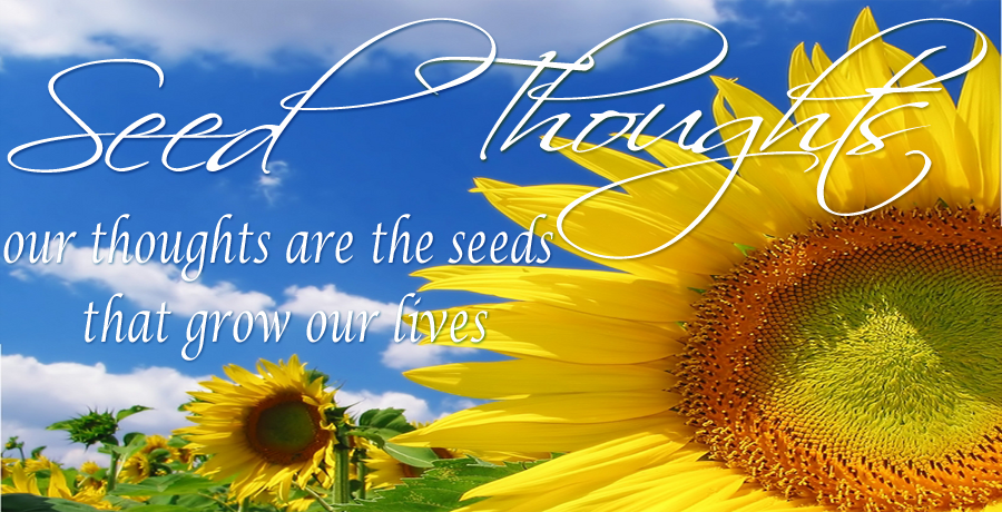Seed-Thoughts-header3.PNG