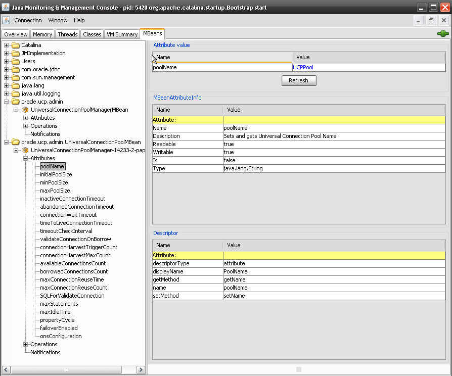 IMAGE TOMCAT 6 JNDI DATASOURCE