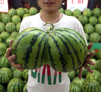 Melons.jpg