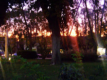 Atardecer