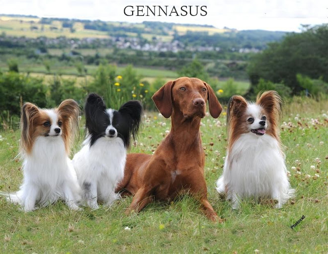 Gennasus