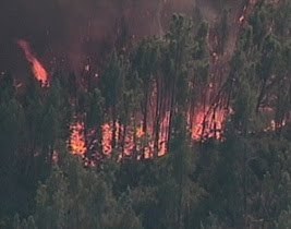 Raging wildfire Raging_wildfire