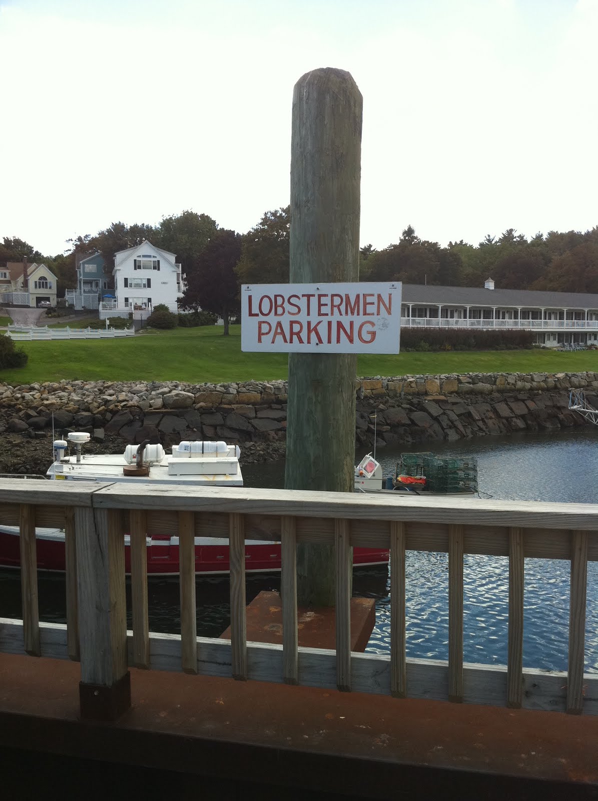 That's What She Fed Priority Parking in Ogunquit, Maine