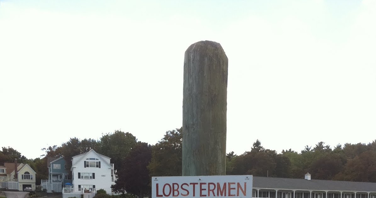 That's What She Fed Priority Parking in Ogunquit, Maine