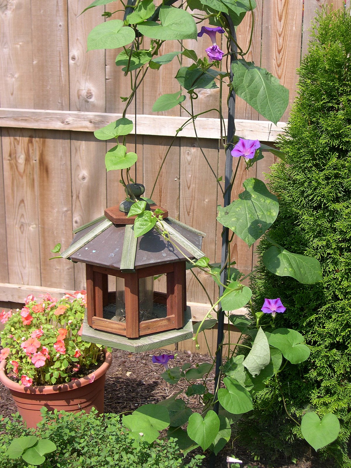 [simple+joys+003.jpg]