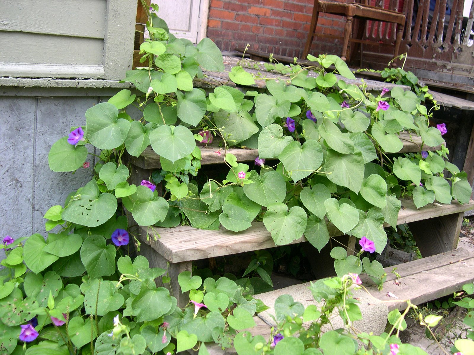 [simple+joys+005.jpg]