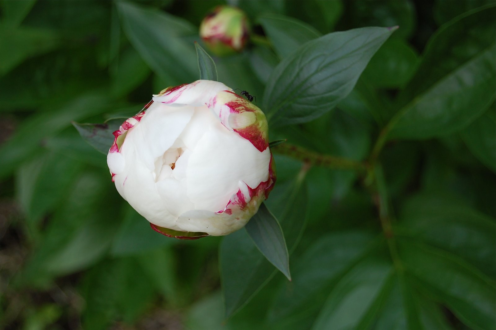 [DSC_1576.JPG]
