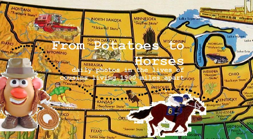 From Potatoes