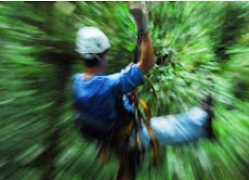 Costa Rica Zip line Tour