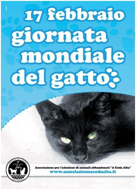 Risultati immagini per gatti eventi