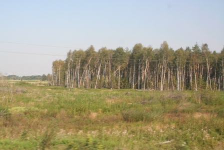 [IMG_0749.JPG]