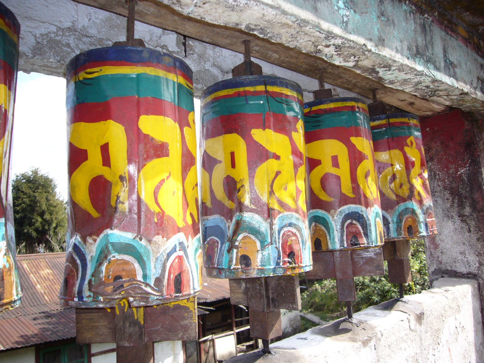 [L1000935.JPG]