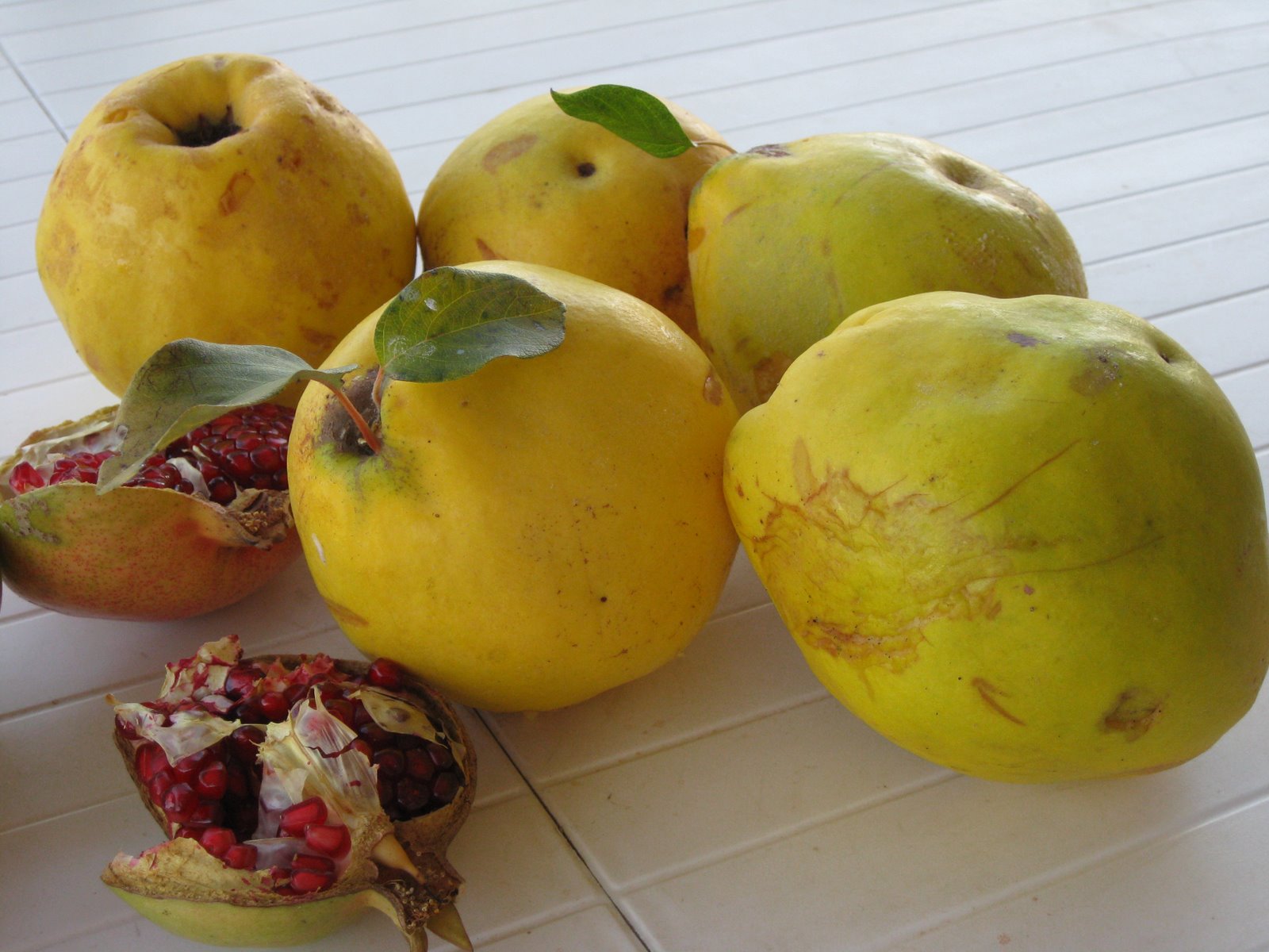 [ouro+e+rubi(douro).JPG]