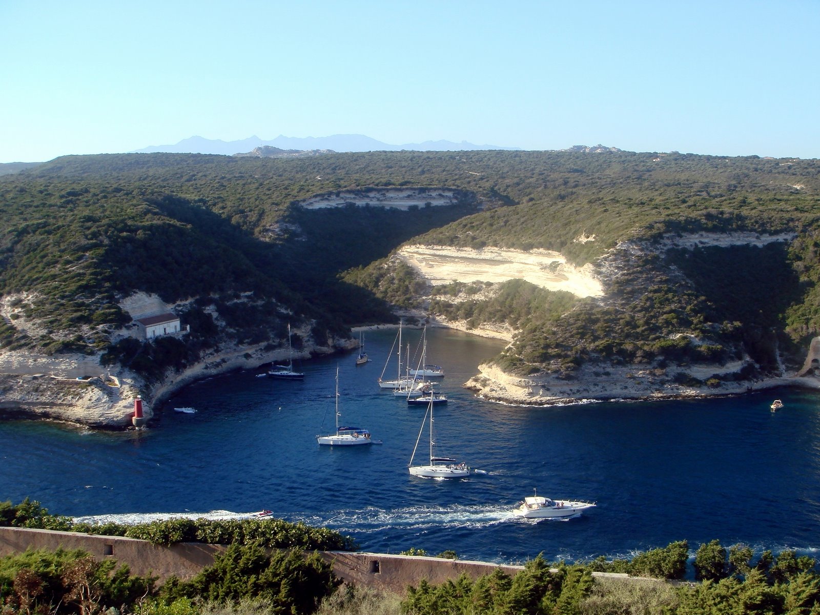 [corsegabonifácio1.JPG]