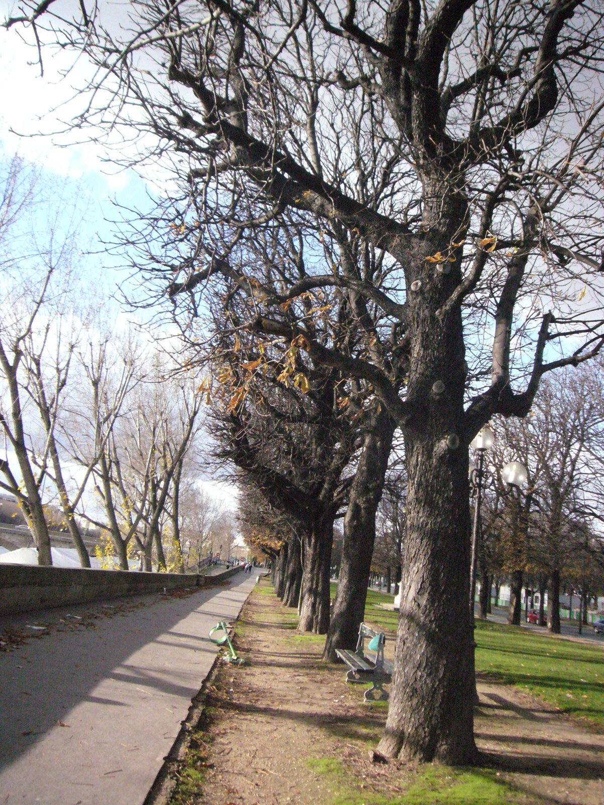 [L1060176.JPG]