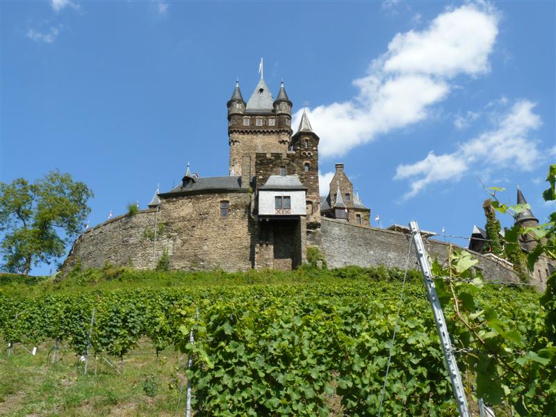 [P1350566.JPG]