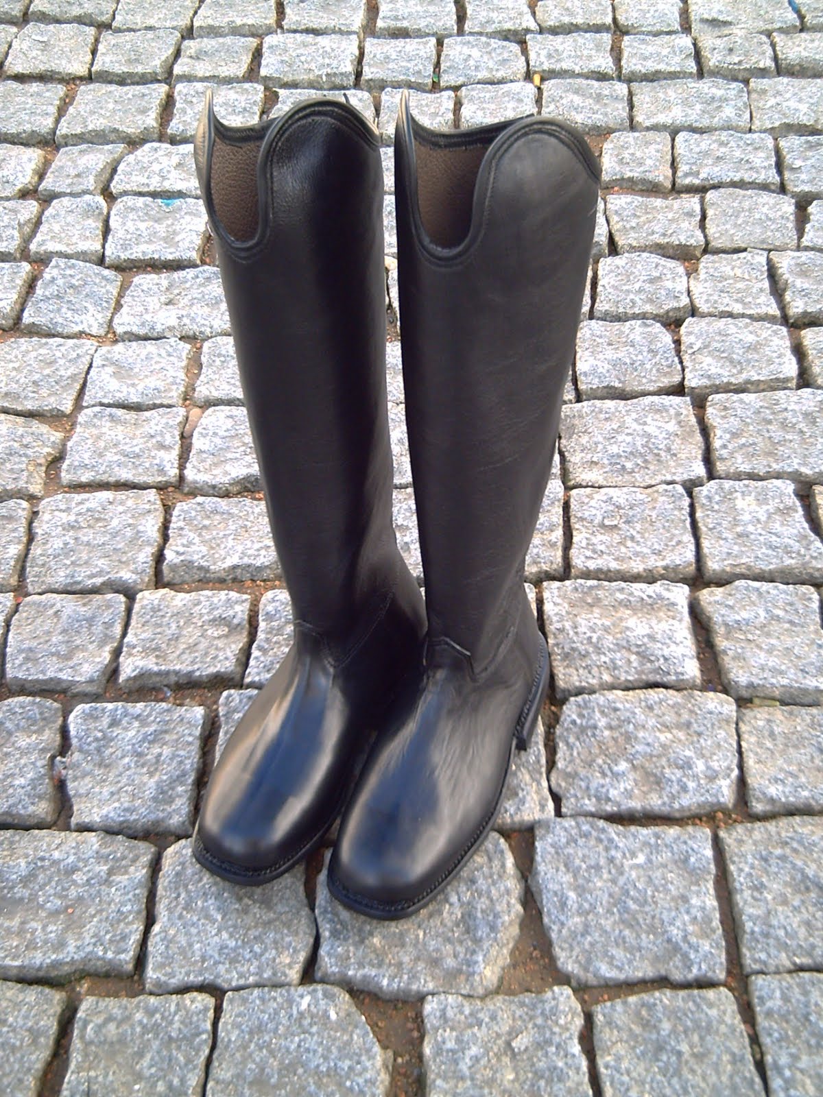 [PICT0530.JPG]