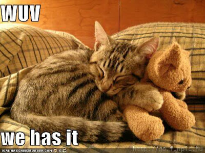 Kitten Teddy Bear