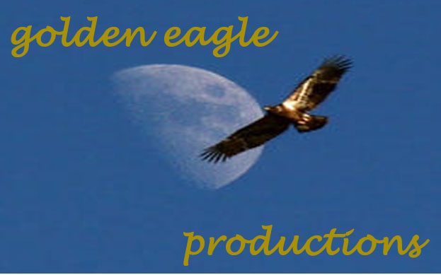We used an eagle as our logo as it indicates power and domination over all golden eagle logo. We used an eagle as our logo as it indicates power and domination over all
