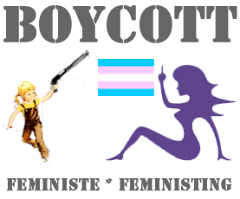 Feministe / Feministing Boycott