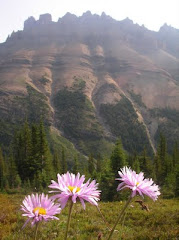 Dolomite Pass Hike 2009