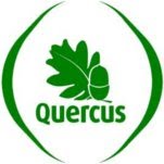 [quercus.bmp]