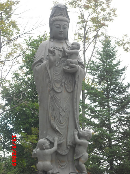 加国 •【菩陀山】• 『觀世音菩薩』