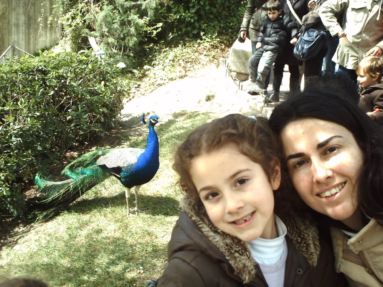 [PICT0102.JPG]