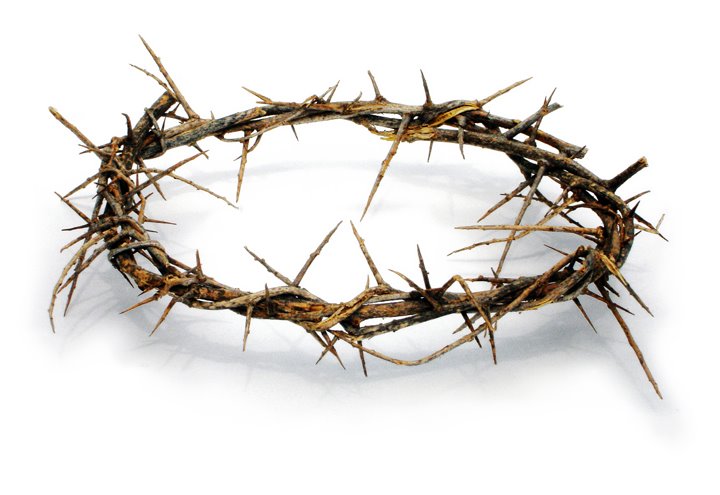 [crown-of-thorns.bmp]