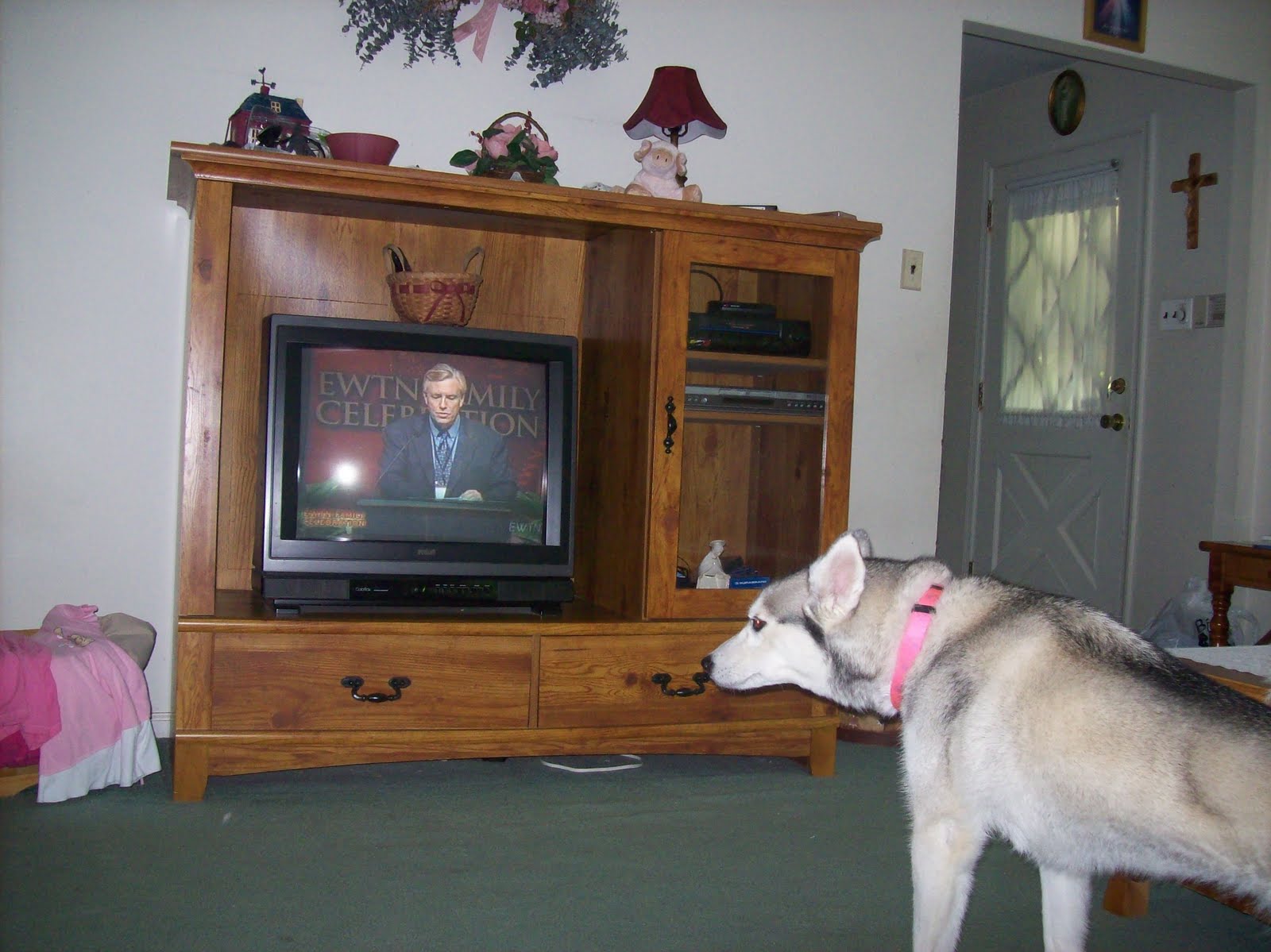 [Gracie-watching-EWTN.jpg]
