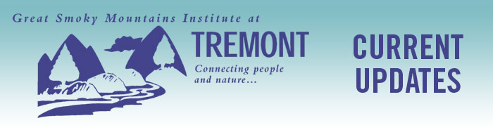 Tremont Current Updates