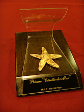 Mirá la entrega de los Premios ESTRELLA DE MAR 2009