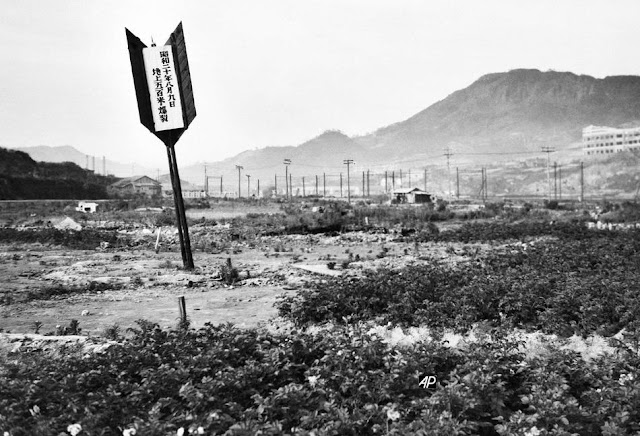guerra guerra