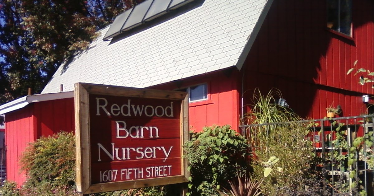 Geno's Garden Design & Coaching A Trip to the Redwood Barn Nursery